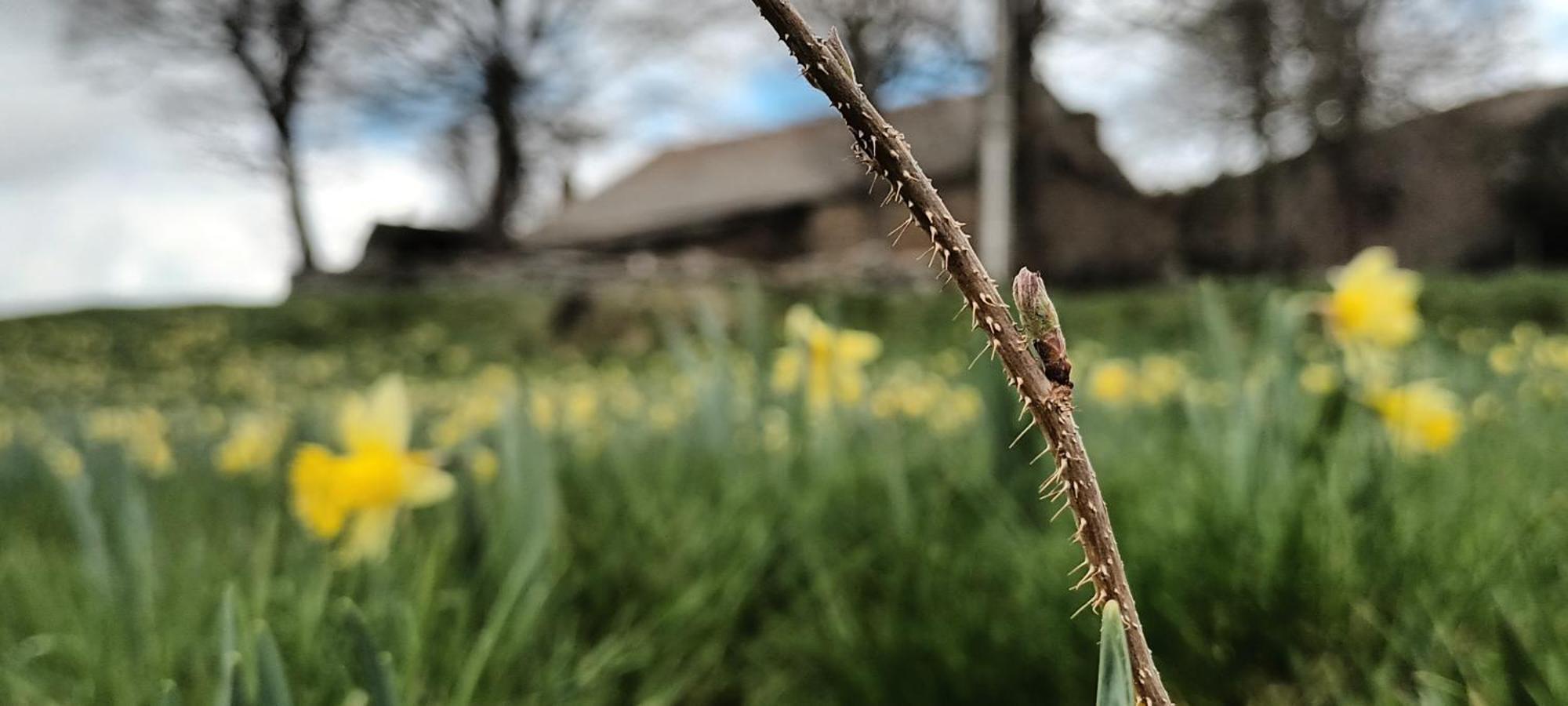 Vvf Haute Loire Saint-Julien-Chapteuil Zewnętrze zdjęcie
